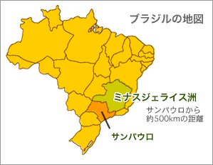 プロポリスが採集されるブラジルミナス州