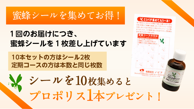 蜜蜂シールを集めてお得！