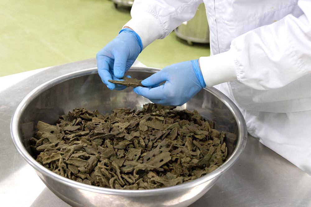 塊のゴミの除去の画像